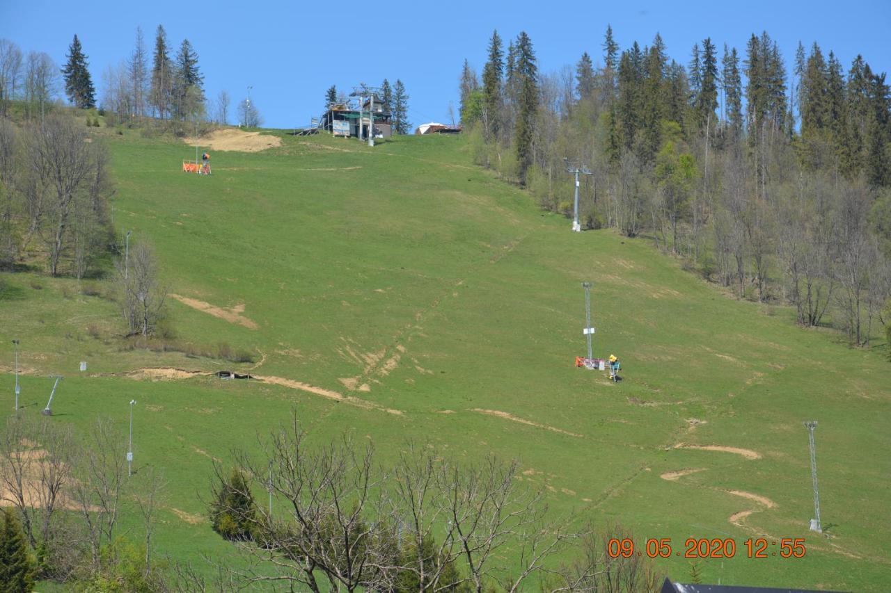 Willa Wiktoria 2 Zakopane Ngoại thất bức ảnh