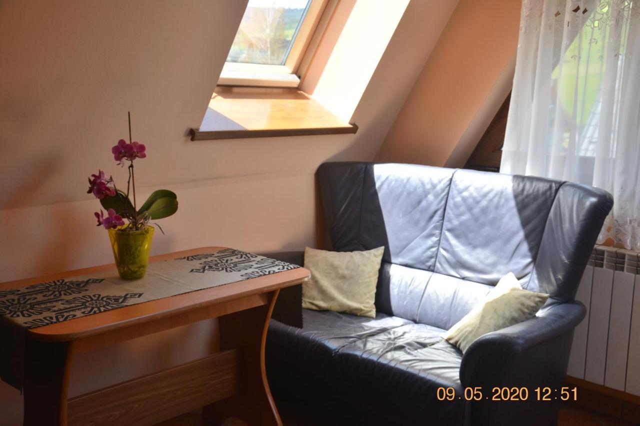 Willa Wiktoria 2 Zakopane Ngoại thất bức ảnh