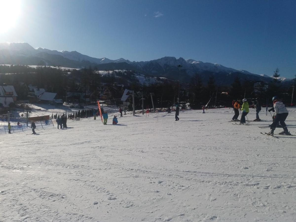 Willa Wiktoria 2 Zakopane Ngoại thất bức ảnh