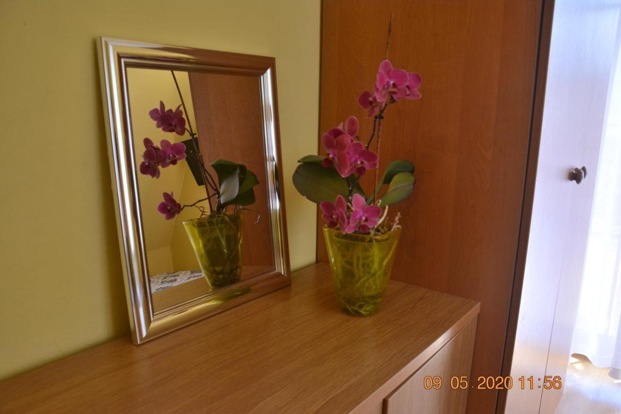 Willa Wiktoria 2 Zakopane Ngoại thất bức ảnh